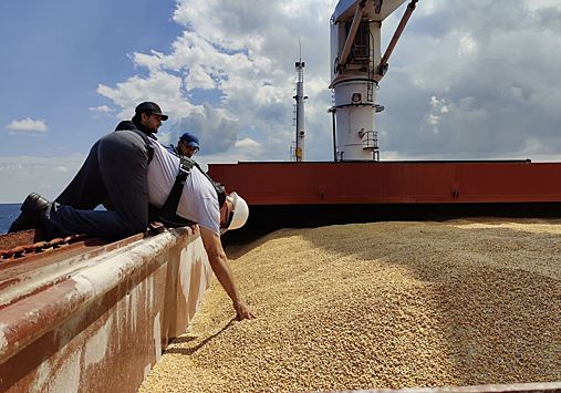РБК: ОЗК создаст собственный флот для экспорта зерна в дружественные страны