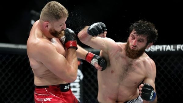 «Не могу выиграть у судей»: как бой Анкалаева и Блаховича на UFC 282 завершился скандалом